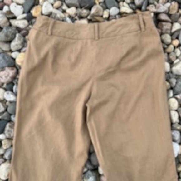 APT. 9 PETITE LINEN BLEND CAMEL LINED PANTS SIZE 10 - Picture 3 of 12